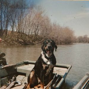 Meet your Posher, Zachary